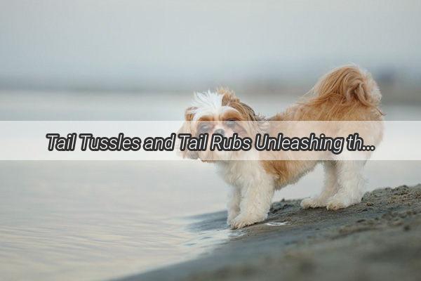 Tail Tussles and Tail Rubs Unleashing the Secret Language of Canine Friendship